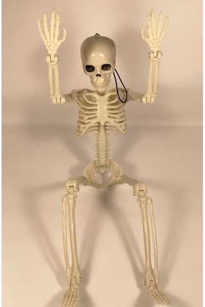 Скелет людини на петлі.  45 см
