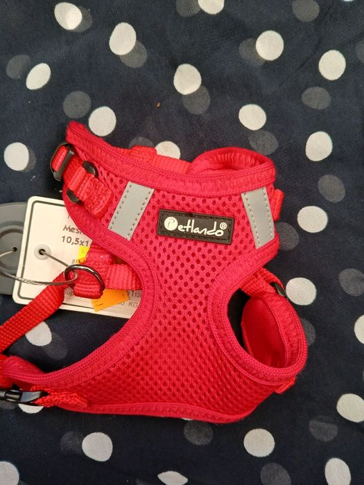 Szelki dla psa petlando xxs