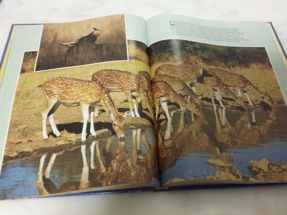 Livro "Paraísos do Mundo Animal" da National Geographic Society