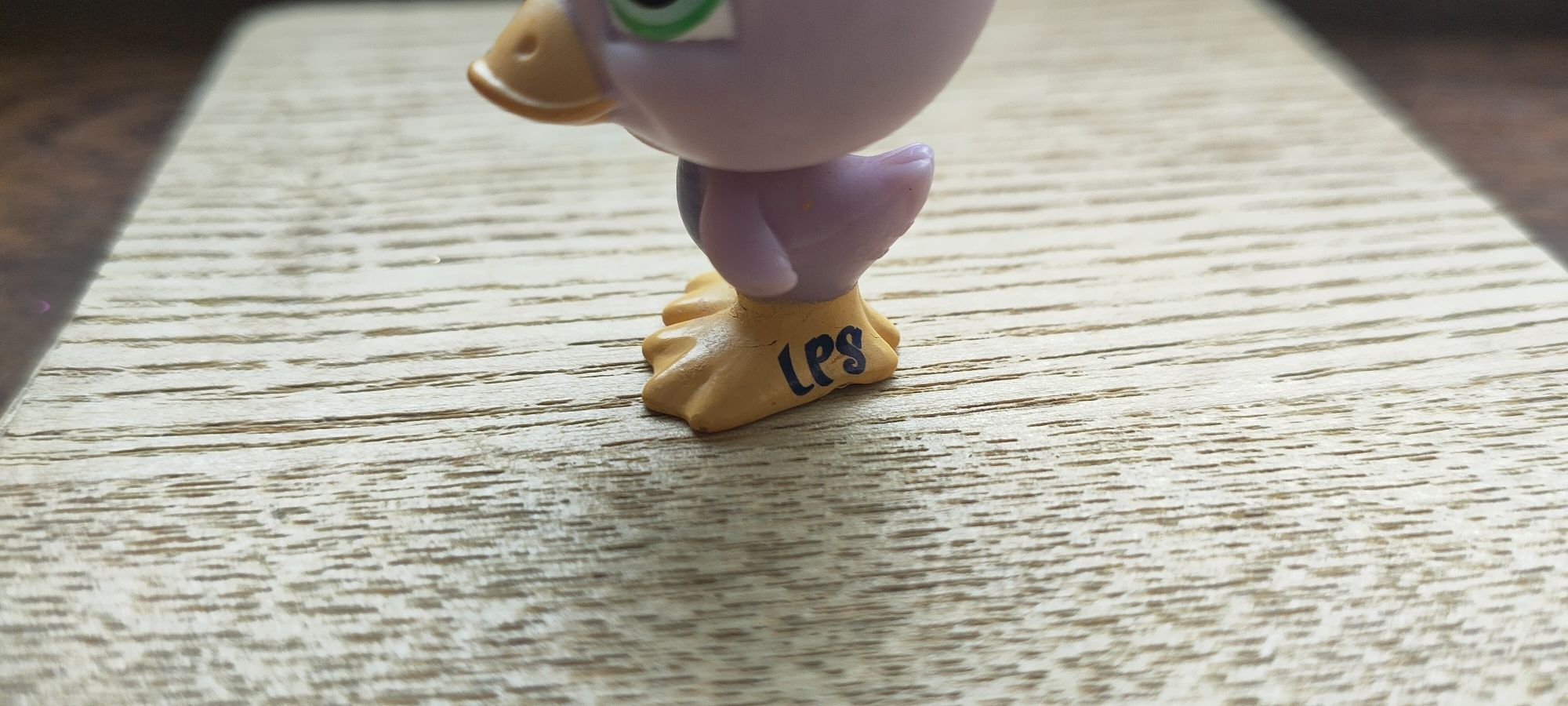 Littlest pet shop kaczka