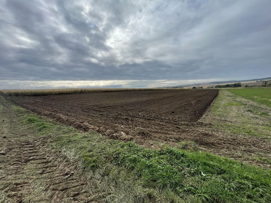 Działka rolna II / IIIa klasa ,pole orne