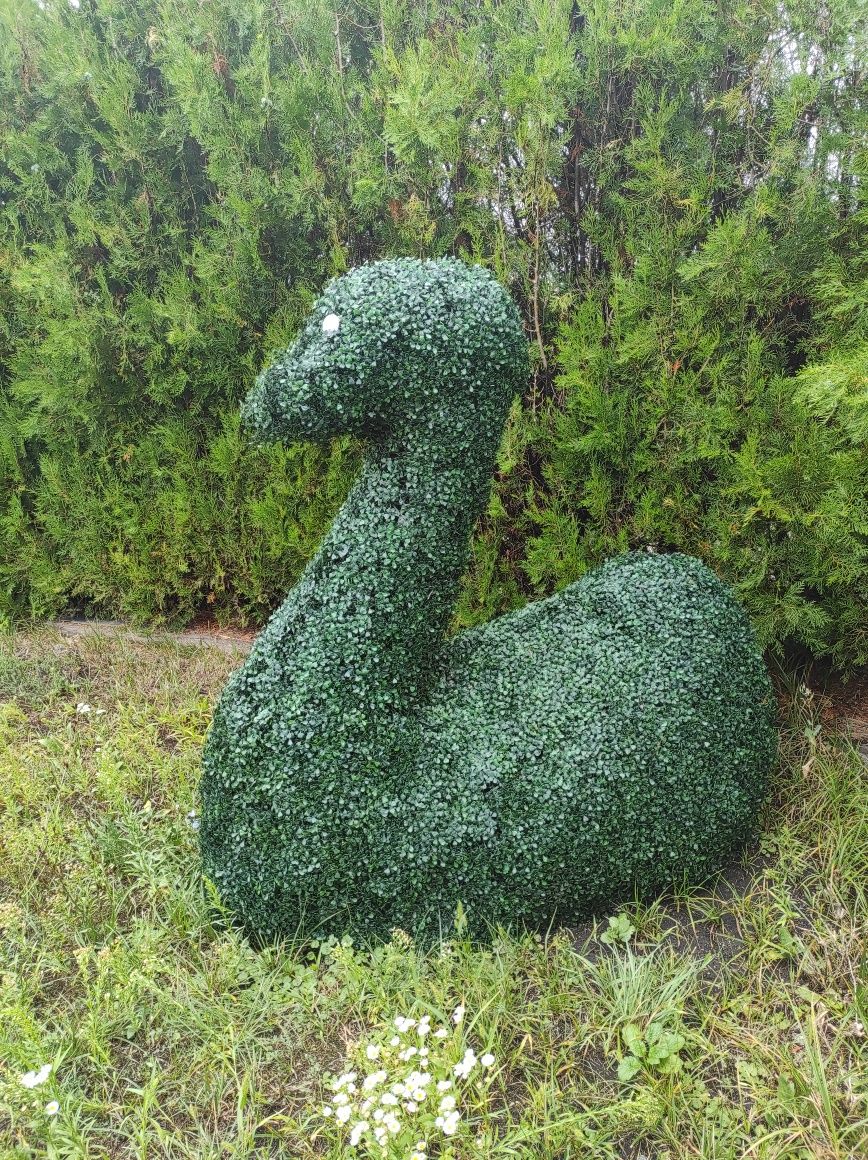 Kaczka Łabędź Topiar Topiary na stelażu z Bukszpanu