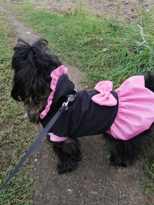 kutreczka ,ubranko ,nieprzemakalne zimowa  dla york mops na miare