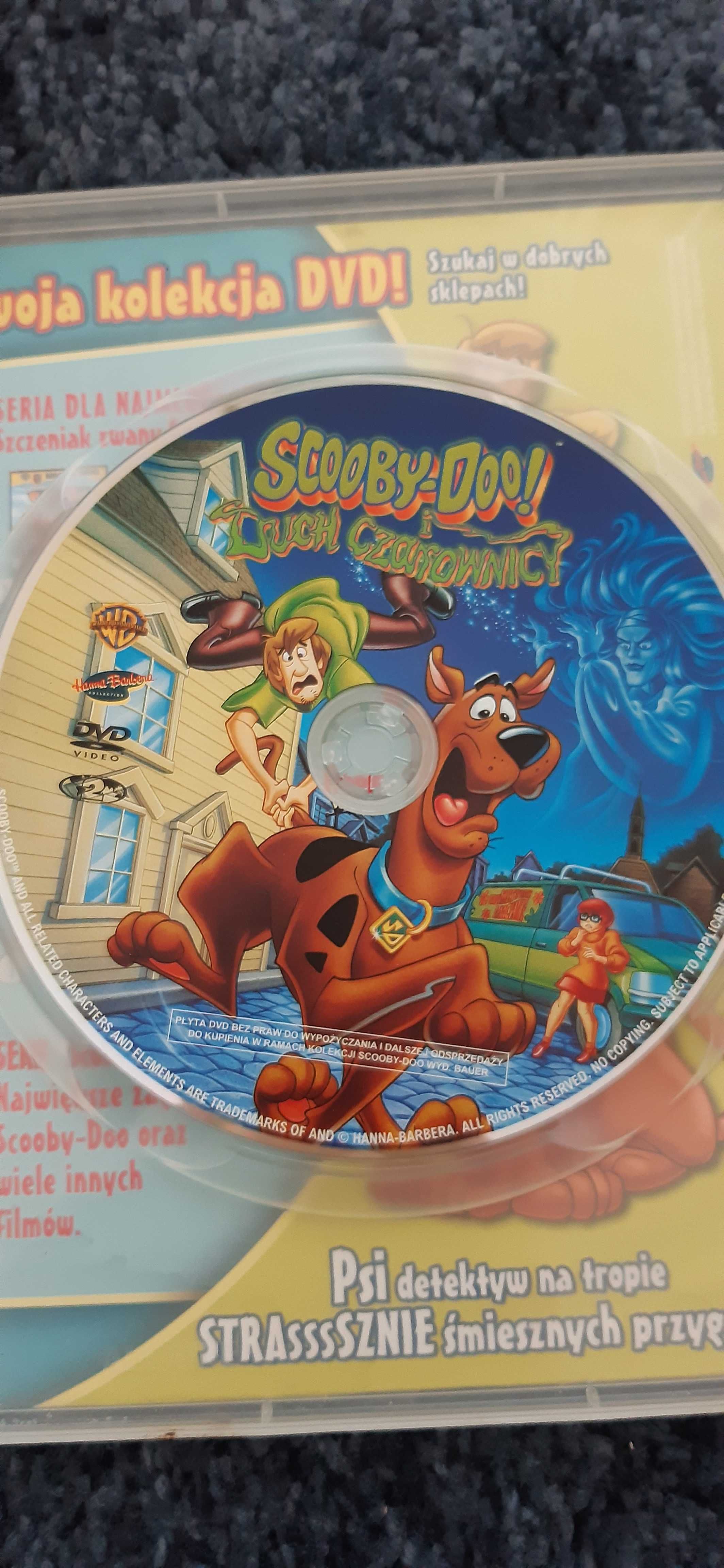 scooby-doo i duch czarownicy dvd