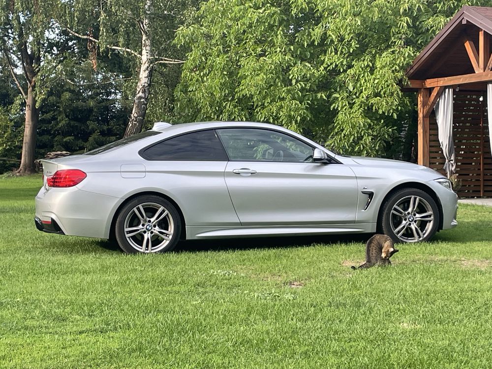 lotka spoiler BMW 4 f32 MPerformance OE