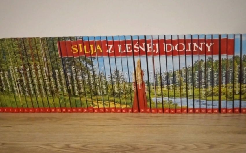 Saga silja z leśnej doliny 52t kompletna