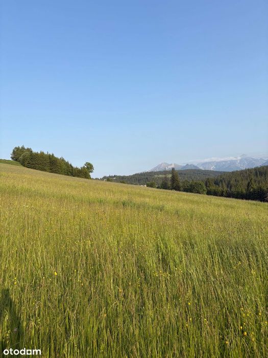 Zainwestuj w widok i spokój – działka w Bukowinie Tatrzańskiej