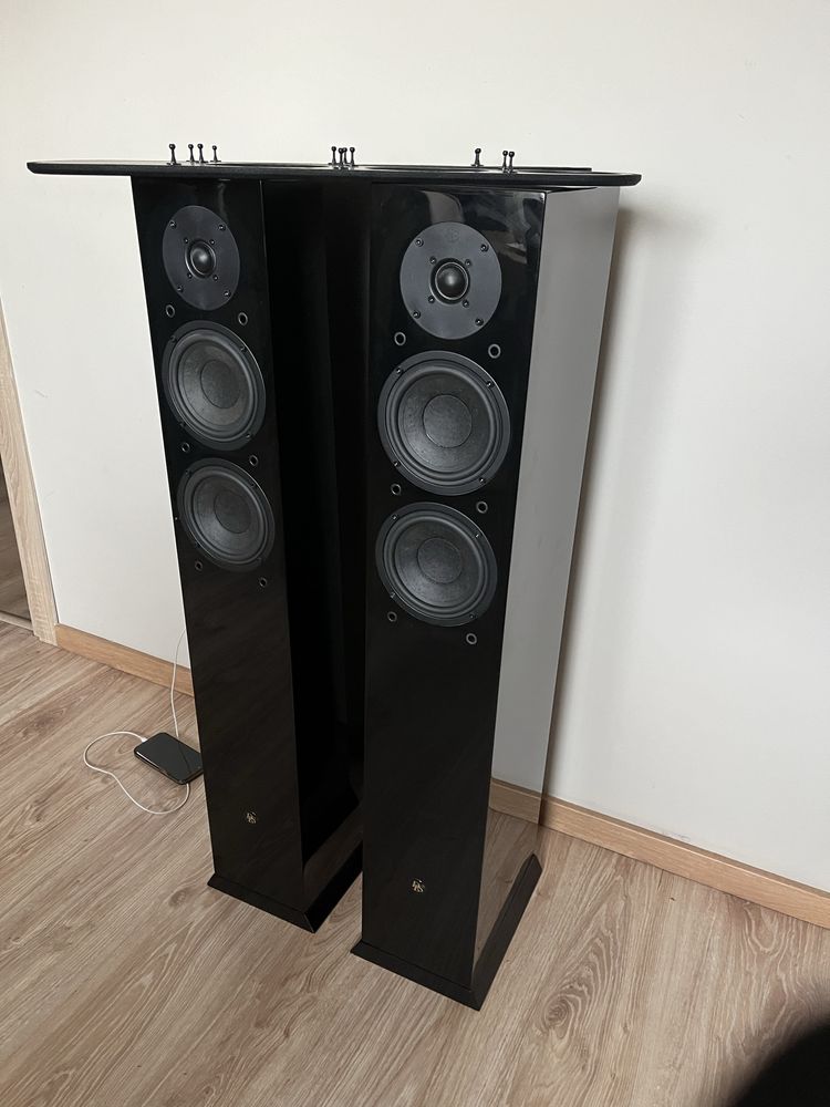 Audiofilskie DLS r55