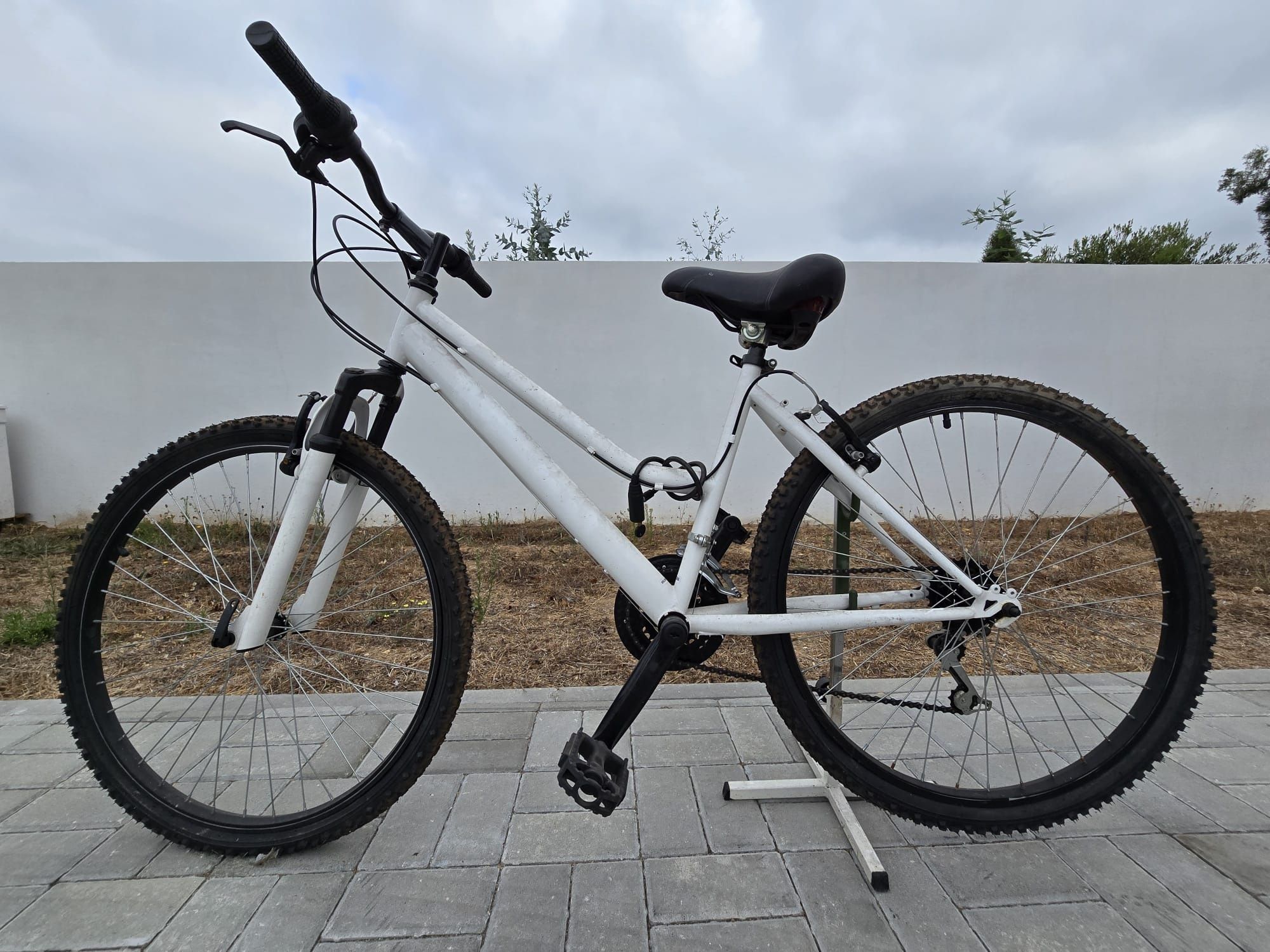Bicicleta de senhora