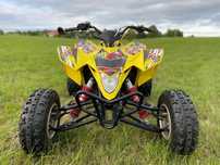 Suzuki  Suzuki LTR 450
