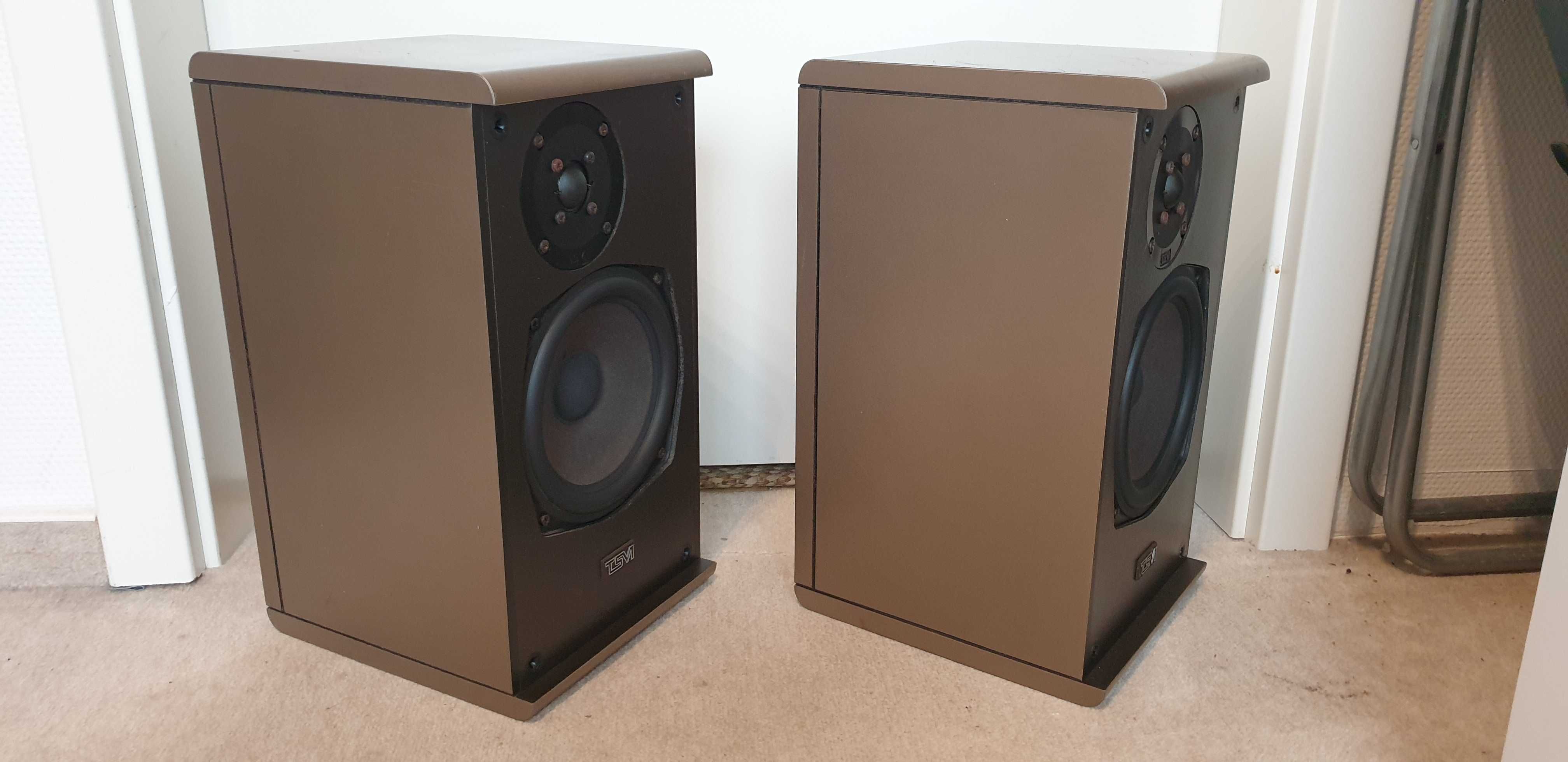 TSM Puris 100, kolumny monitory stereo, 60 Watt, 4 Ohm