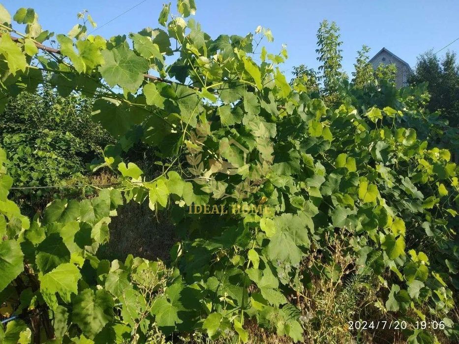 Продаж будинку с.Плесецьке