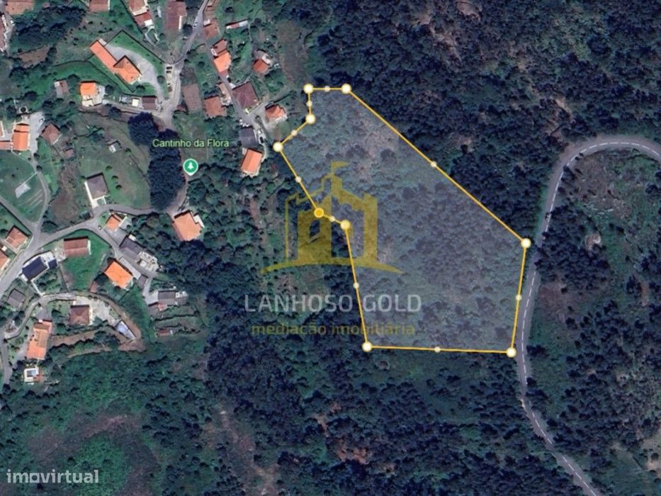 Terreno Florestal com 23.876 m² em Garfe - Oportunidade de Investim...
