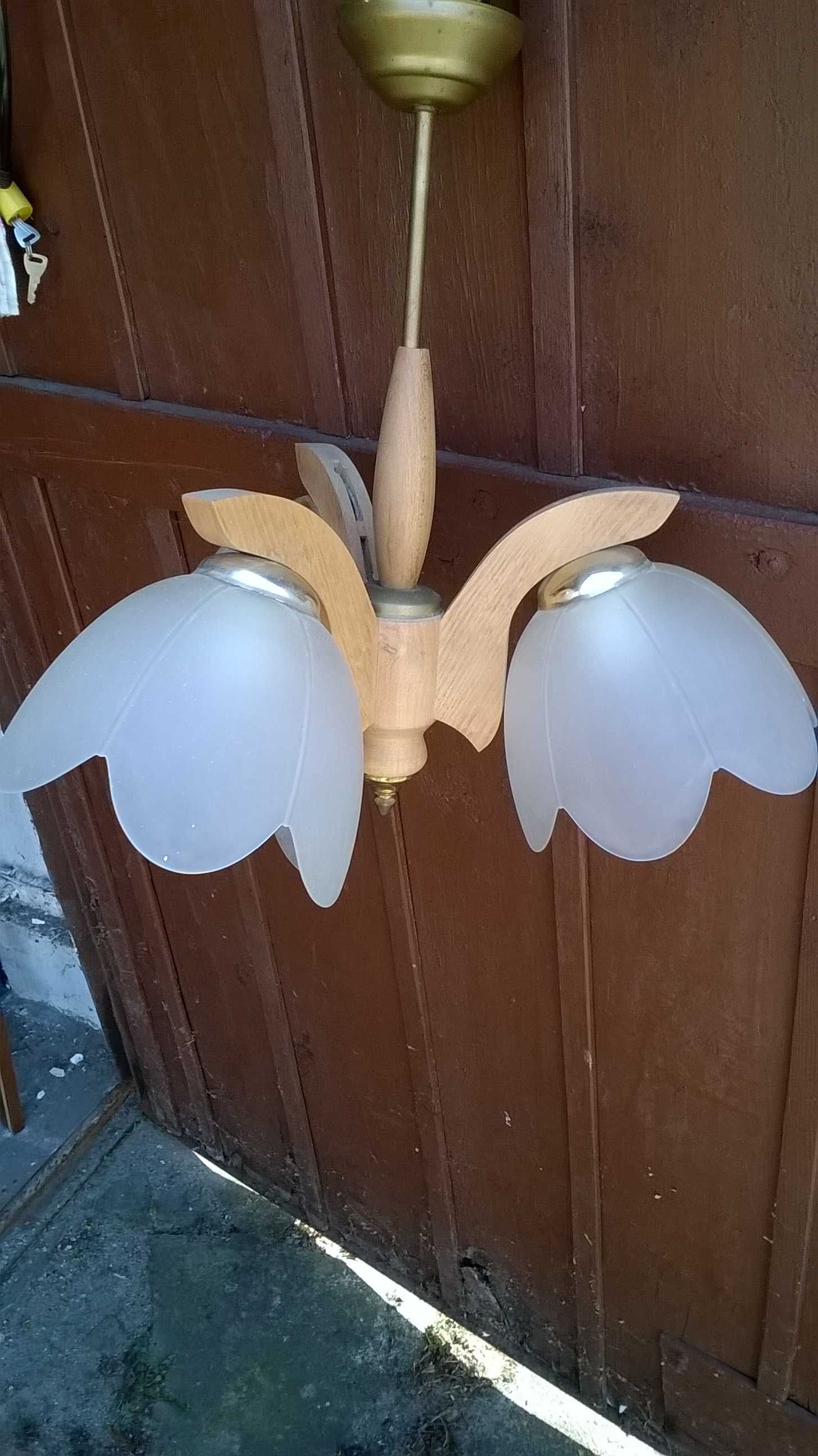 Lampa oświetleniowa " tulipan '