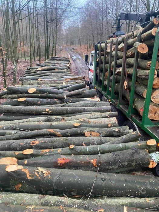 drewno kominkowe opałowe dąb buk jesion