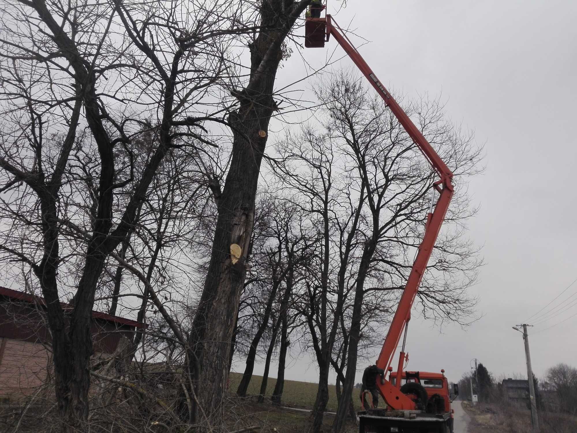 Zwyżka wycinka drzew podnośnik koszowy
