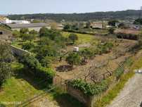 Terreno - Zona Leiria
