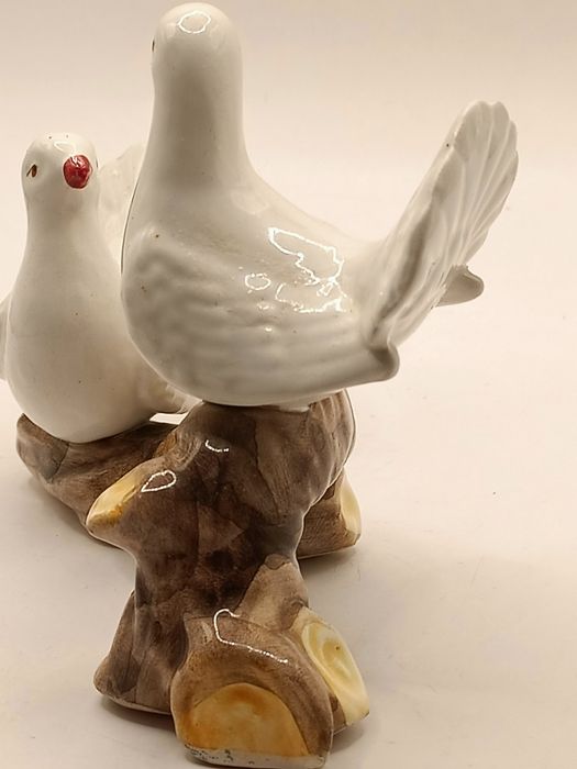 Para gołębi turkawek na gałęzi w Włoskim stylu