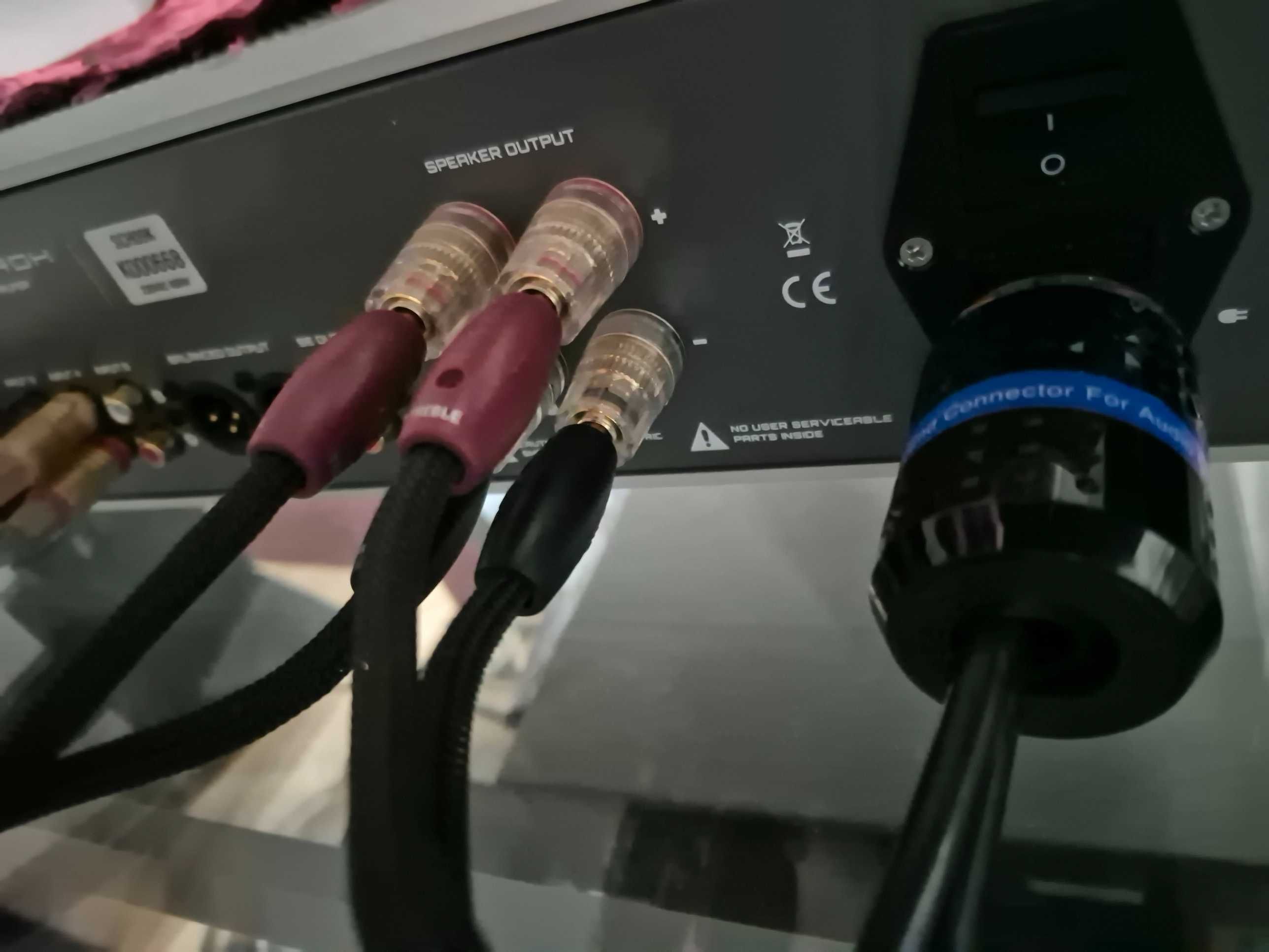 Hi-end усилитель Schiit Ragnarok. Made in USA.