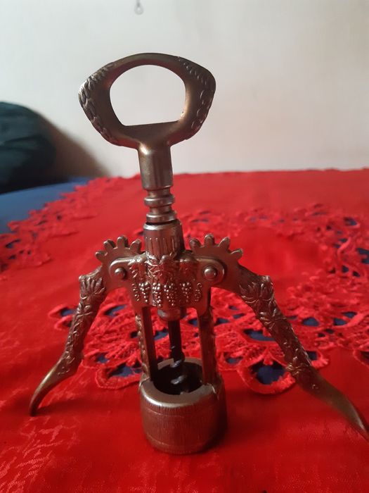 Unikatowy korkociąg winorośl