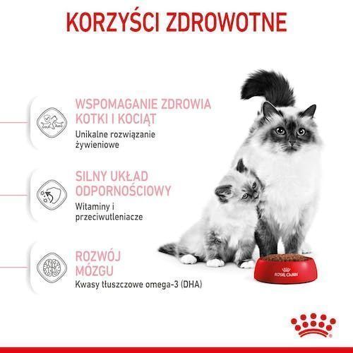 Karma sucha dla kociąt, kotek w ciąży i karmiących - Royal Canin 4kg