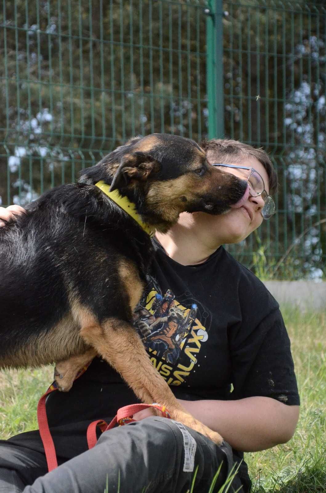 Stefek – delikatne serducho, które pragnie miłości oraz domu