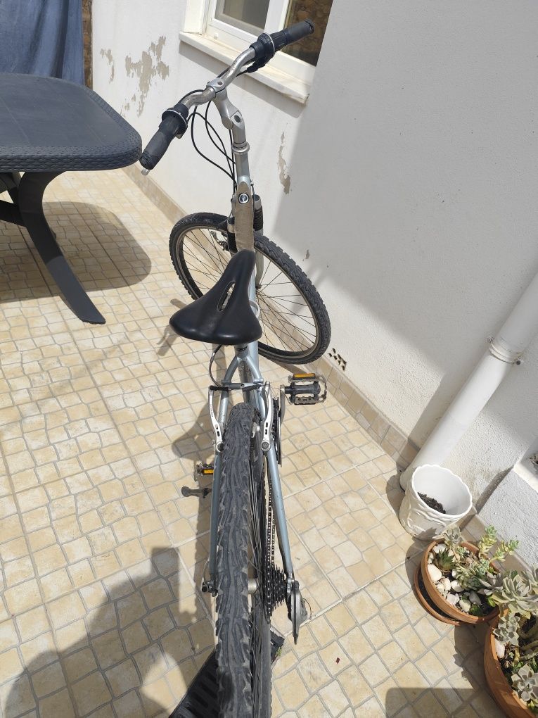 Bicicleta roda 29