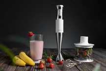 Blender ręczny Concept TM4910