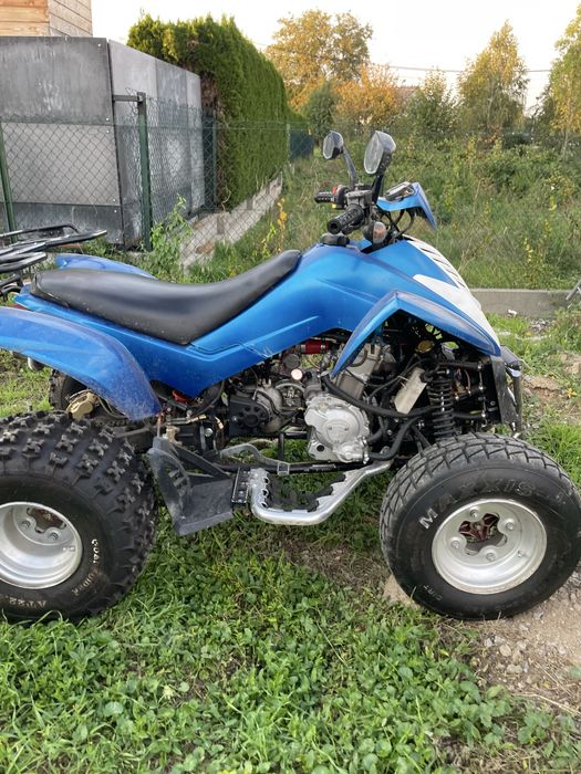 Sprzedam dwa quady dinli masaii 300cc i bashan 250