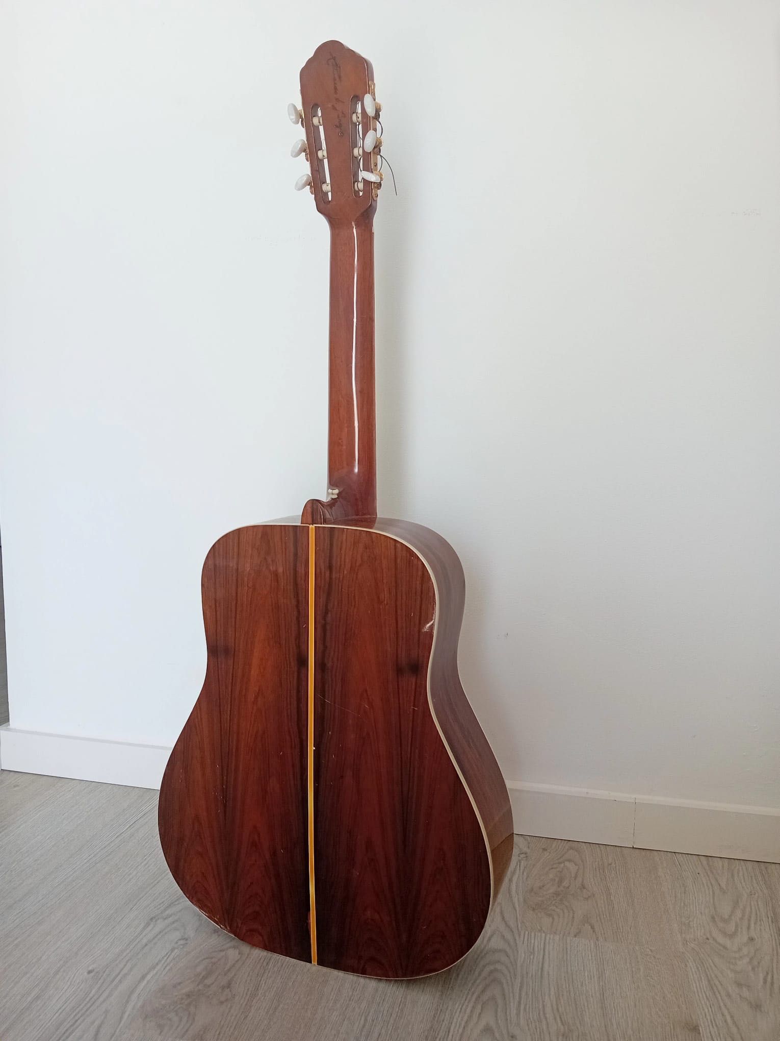 Guitarra Acústica DiGiorgio (1974) - Peça de colecionador