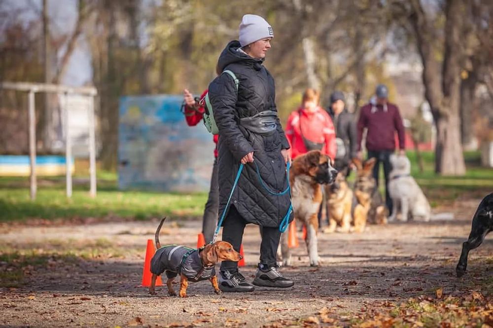 Ліцензований кінолог. Кропивницький