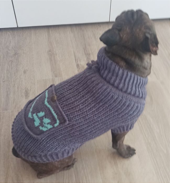 Светр для собаки