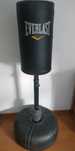 Saco de desportos de combate Everlast