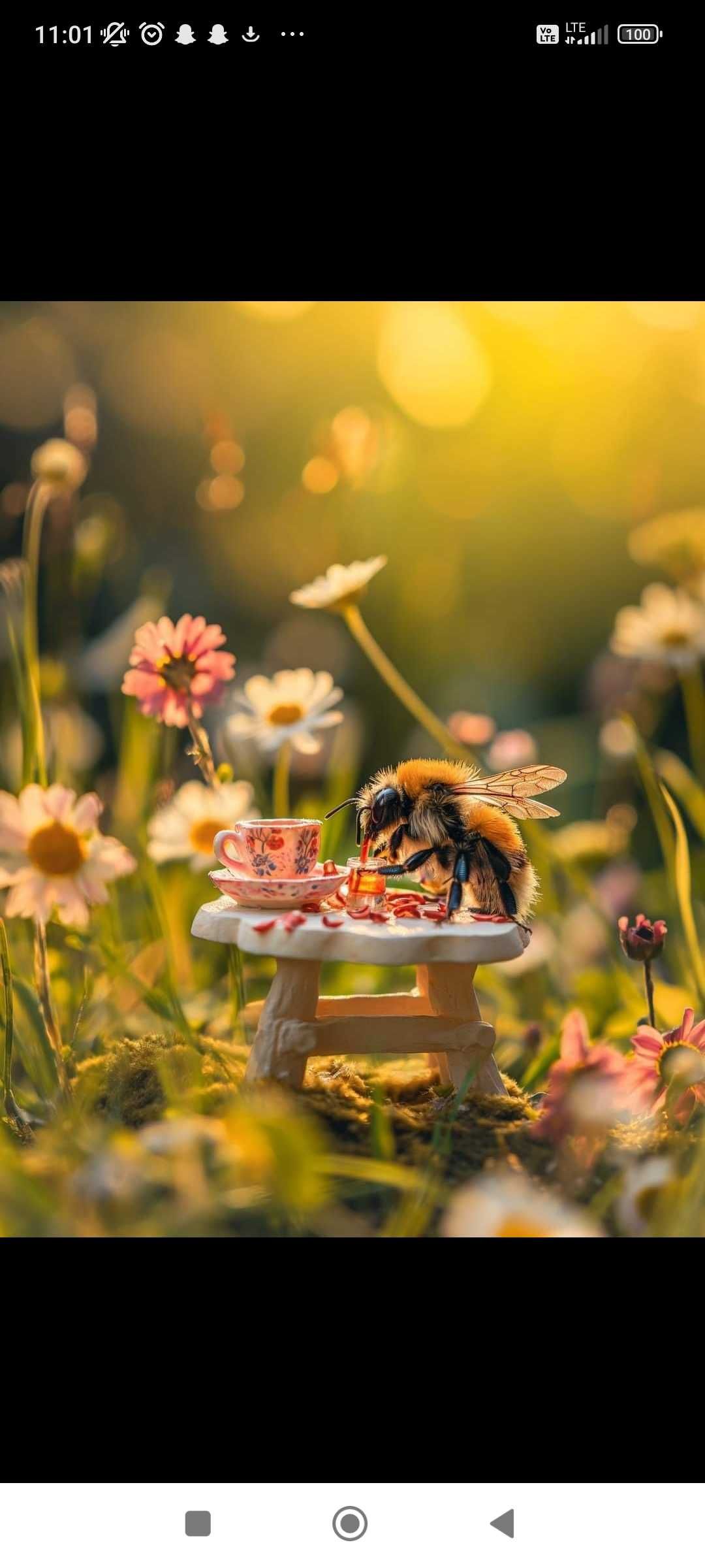 Złapanie i zbiór rójki pszczelej