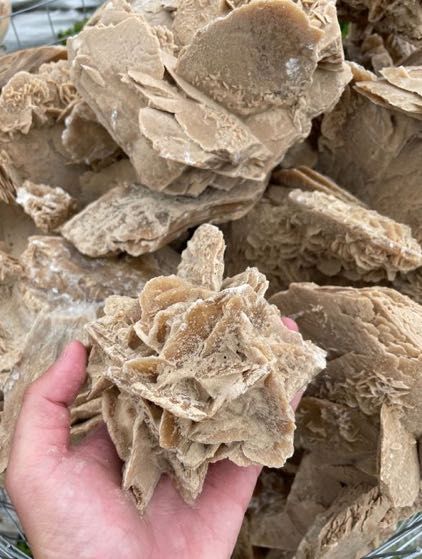 Kamień Naturalny Róża Pustyni Skała do Akwarium Ogrodu Skalniak Oczko