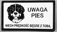 Tabliczki uwaga pies