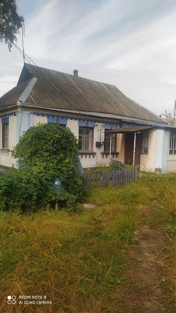 Продаж будинок село Вільшанська Новоселиця