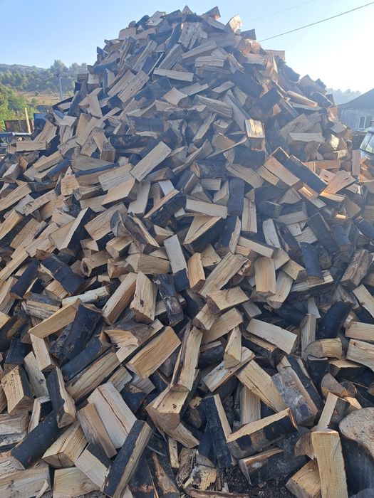 Дрова твердих порід