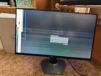 Monitor LED Dell 27" IPS uszkodzony