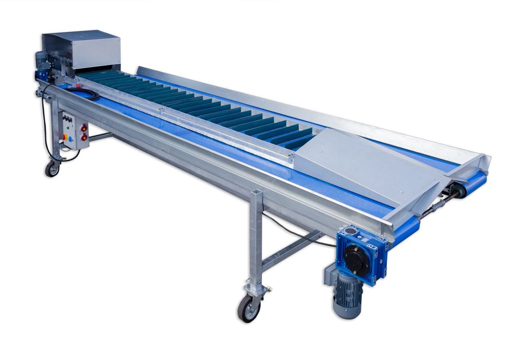 PROMOCJA!!! Obcinarka Ogławiarka do warzyw, marchew, burak podłużny, p