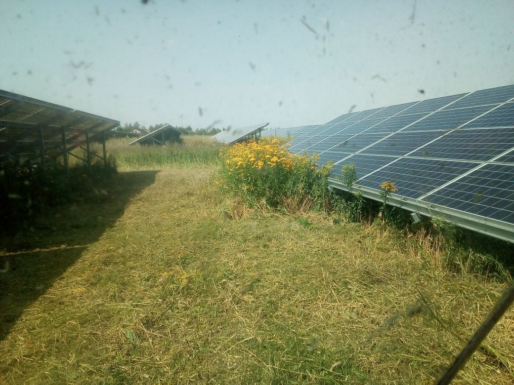 Koszenie zieleni, Mycie Farm Fotowoltaicznych, Koszenie Farm