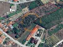 Terreno Urbano Anadia Aveiro