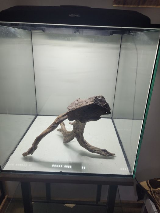 Korzen do akwarium