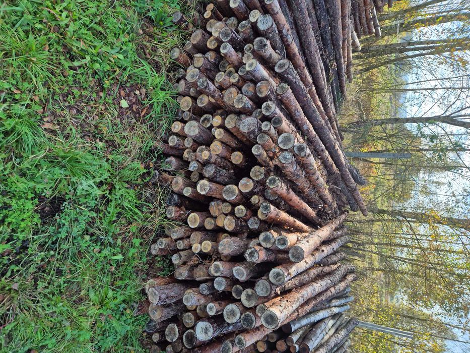 3 metrowe ,Stemple, stęple drewniane, nowe, budowlane’