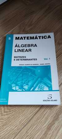 Livro Algebra Linear - Matrizes e Determinantes