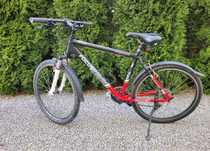 Rower Focus Cypress