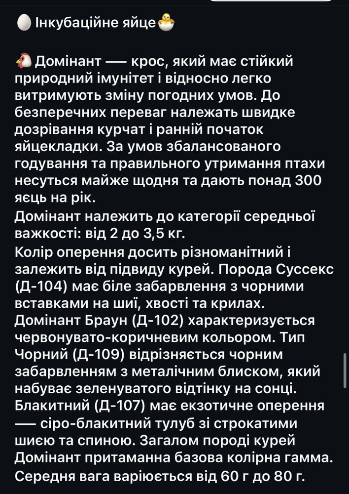 Домінанти інкубаційні яйця