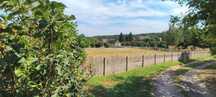Sprzedam mieszkanie bezczynszowe wraz z działką rolną/budowlaną 7800m2