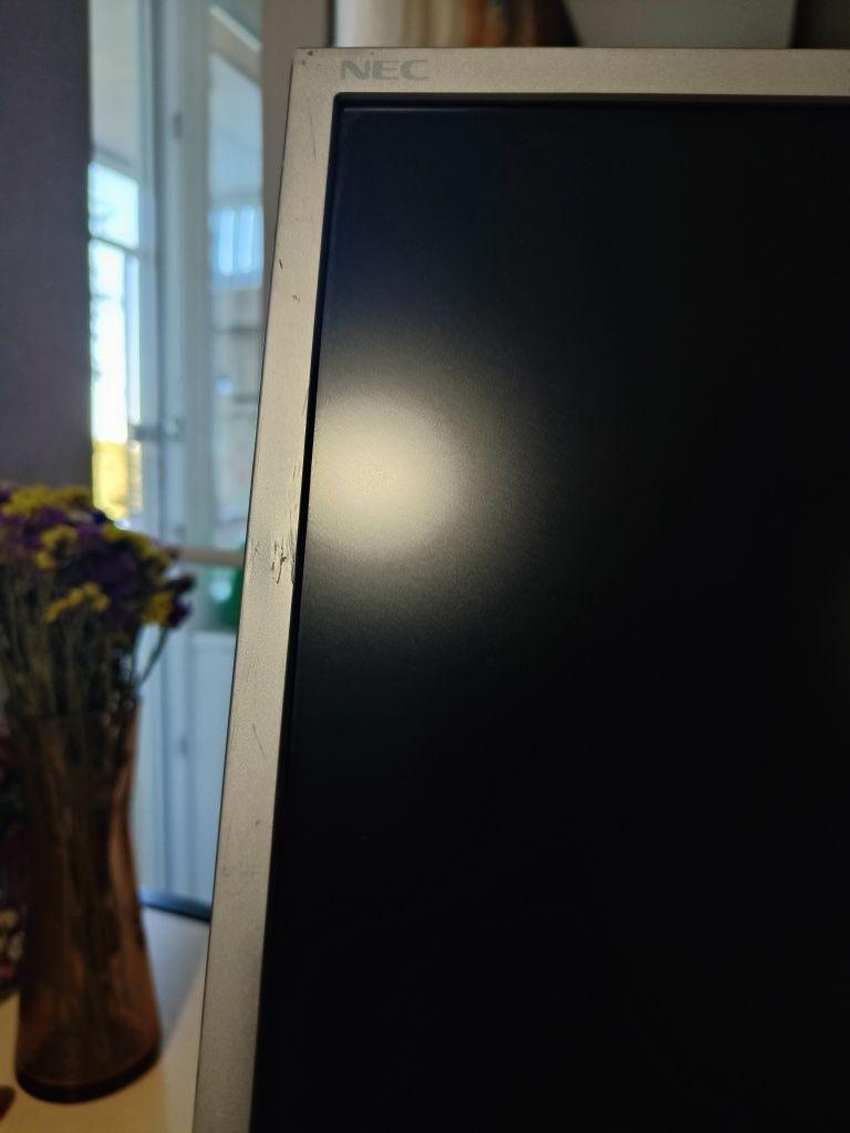 Монитор 19" NEC LCD1990SX