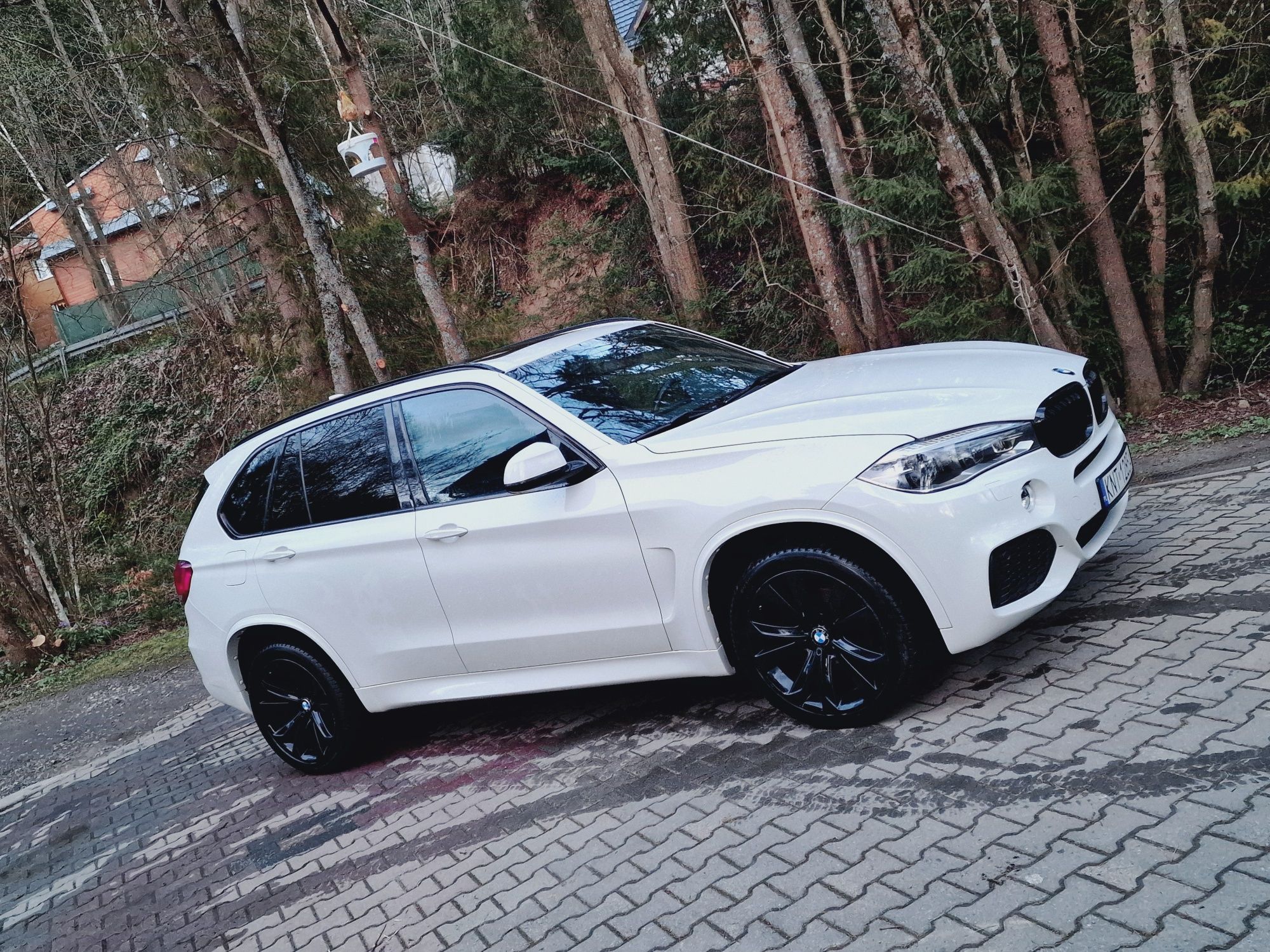 BMW X5 M Pakiet 3.0 D 258 km